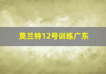 莫兰特12号训练广东