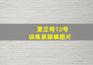 莫兰特12号训练束脚裤图片