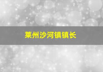 莱州沙河镇镇长