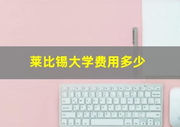 莱比锡大学费用多少