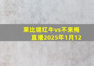 莱比锡红牛vs不来梅直播2025年1月12