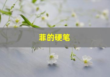 菲的硬笔