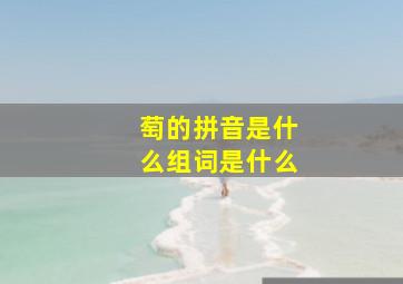 萄的拼音是什么组词是什么