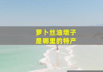 萝卜丝油墩子是哪里的特产