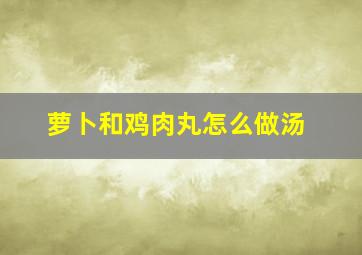 萝卜和鸡肉丸怎么做汤