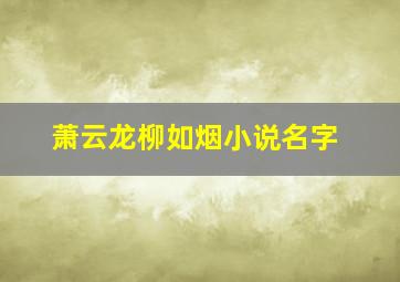 萧云龙柳如烟小说名字