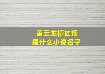 萧云龙柳如烟是什么小说名字