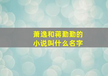 萧逸和蒋勤勤的小说叫什么名字