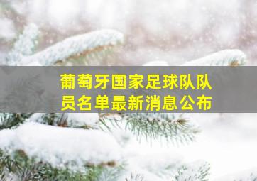 葡萄牙国家足球队队员名单最新消息公布