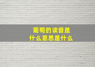 葡萄的读音是什么意思是什么