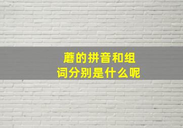 蘑的拼音和组词分别是什么呢