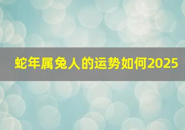 蛇年属兔人的运势如何2025