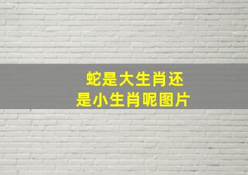 蛇是大生肖还是小生肖呢图片