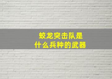 蛟龙突击队是什么兵种的武器