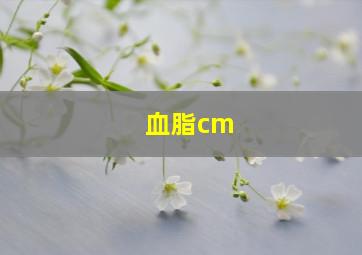 血脂cm