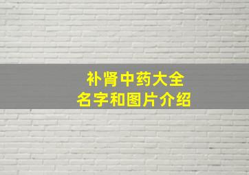 补肾中药大全名字和图片介绍