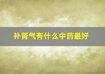 补肾气有什么中药最好