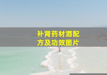 补肾药材酒配方及功效图片