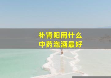 补肾阳用什么中药泡酒最好