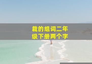 裁的组词二年级下册两个字