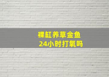 裸缸养草金鱼24小时打氧吗