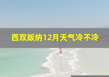 西双版纳12月天气冷不冷