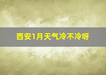 西安1月天气冷不冷呀