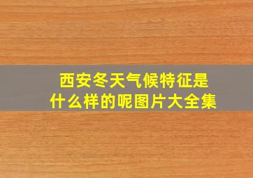 西安冬天气候特征是什么样的呢图片大全集