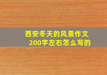 西安冬天的风景作文200字左右怎么写的