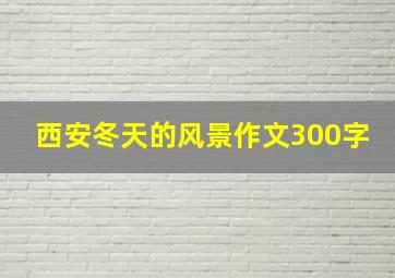 西安冬天的风景作文300字