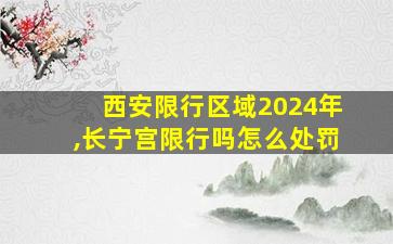 西安限行区域2024年,长宁宫限行吗怎么处罚