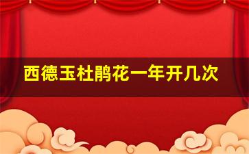 西德玉杜鹃花一年开几次