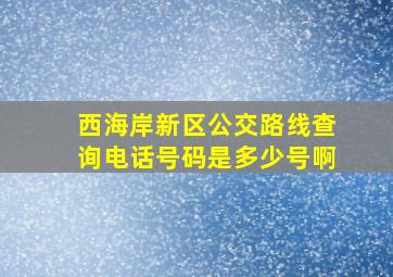 西海岸新区公交路线查询电话号码是多少号啊