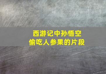 西游记中孙悟空偷吃人参果的片段