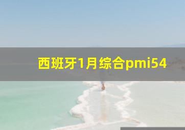 西班牙1月综合pmi54