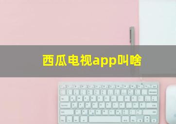 西瓜电视app叫啥