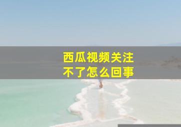 西瓜视频关注不了怎么回事