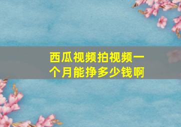 西瓜视频拍视频一个月能挣多少钱啊