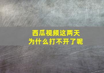 西瓜视频这两天为什么打不开了呢