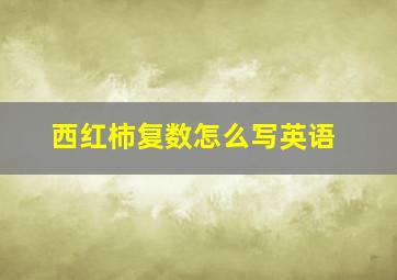 西红柿复数怎么写英语