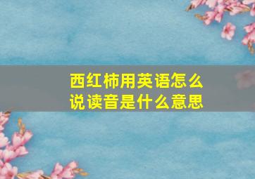 西红柿用英语怎么说读音是什么意思