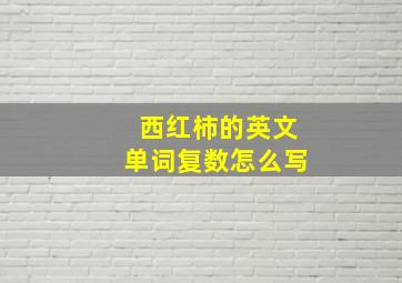 西红柿的英文单词复数怎么写