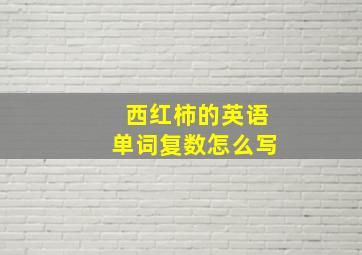 西红柿的英语单词复数怎么写