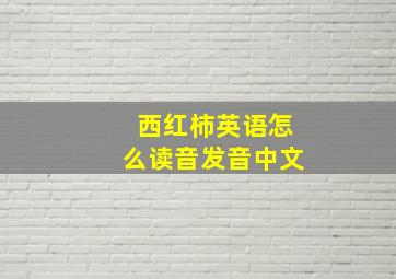 西红柿英语怎么读音发音中文