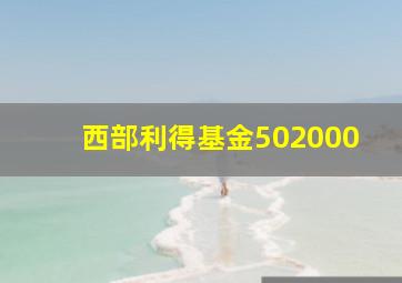 西部利得基金502000