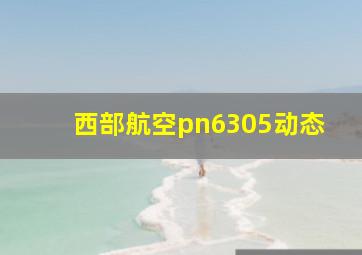 西部航空pn6305动态