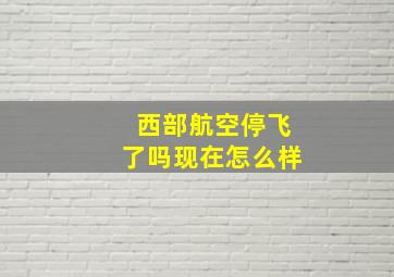 西部航空停飞了吗现在怎么样