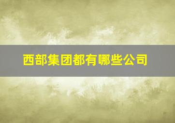 西部集团都有哪些公司