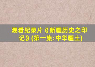 观看纪录片《新疆历史之印记》(第一集:中华疆土)