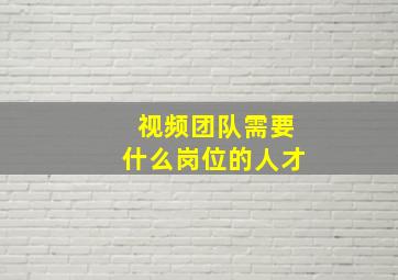 视频团队需要什么岗位的人才